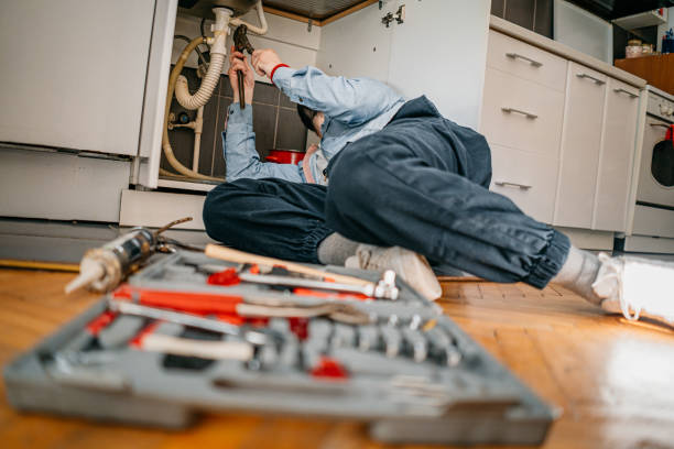 Best Plumbing Inspection Services  in Aspen, CO